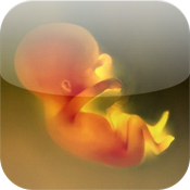 Baby & Pregnancy Baby & Pregnancy